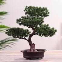 Dekoratyvus Bonsai medis Gražus Pušies Imitacija Ir Realistiškas Pasidaryk Pats Paprasti Vazoniniai Augalai Ornamentai B black