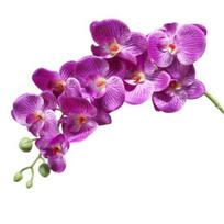 Dirbtinės orchidėjų gėlės ilgais stiebais, realistiškos Phalaenopsis orchidėjos, nereikalaujančios priežiūros, aksominiai žiedlapiai, dirbtinė gėlė, namų dekoras purple