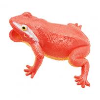 Imituotas varlės modelis su gyvu garsu Streso mažinimo realistiškas rupūžės spaudomas žaislas Kūdikiams Švietimo gyvūnas Prank žaislas Juokinga dovana red