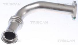 Vamzdis, EGR vožtuvas TRISCAN 8811 29111