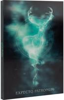 Užrašinė HARRY POTTER Lenticular, su rašikliu, A5, 100 g/m2, 96 l. - Nėra Autoriaus