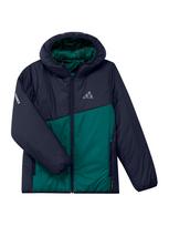 ADIDAS TERREX Laisvalaikio striukė smaragdinė spalva / juoda