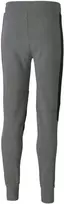 Puma Kelnės Vyrams Bmw Mms Sweat Pants Pilkas 598002 03