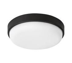 Rabalux 77223 - LED lauko lubinis šviestuvas HORT2 LED/14W/230V IP54 juoda