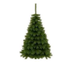 Kalėdinė eglutė MORINGA 180 cm pušis