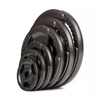 Ketaus svarmenys GYMSTICK 1,25-20kg (Svoris: 20 kg)