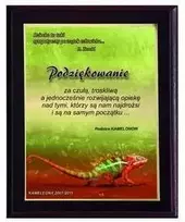 Tryumf Plastikinis diplomas su spalvotu touch laminatu