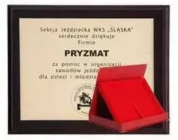 Tryumf Plastikinis diplomas su graviruotu laminatu + dėklas 355x300 mm