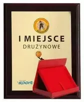 Tryumf Plastikinis diplomas su spalvotu jutikliniu laminatu + korpusas 275x220 mm