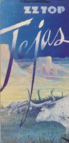 CD ZZ Top – Tejas (naudota)