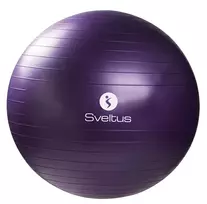 Gimnastikos kamuolys GYMBALL 75cm violet+pakuotė