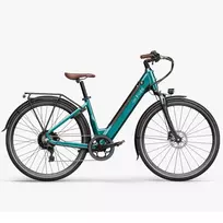 Electric bicycle FIIDO C11 Pro, Green
