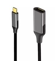 USB-C DisplayPort 1.2 moterų 4K 60HZ adapterio kabelis