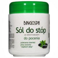 Druska kojoms BingoSpa nuo prakaitavimo su mėta 550g