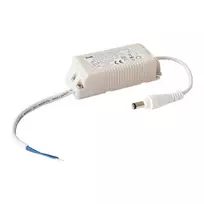 Synergy 21 S21-LED-B00111 CC LED variklis 340 mA ~28 V apvaliam 9W šviestuvui V2