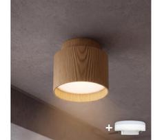BRILAGI - LED taškinis šviestuvas BACKLIT 1xGX53/15W/230V+LED/3W, skersmuo 8 cm, ąžuolo dekoras