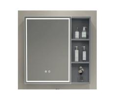 BRILAGI - LED veidrodinė vonios spintelė su apšvietimu AVOLA SINGLE 55x70 cm