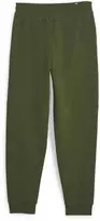 Puma Sportinės Kelnės Vyrams Rad/Cal Pants Žalias 675890 31
