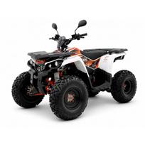 Benzininis keturratis EGL MOTOR THE200 AUTOMATAS GY6