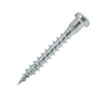 medsraigčiai pusapvale TORX galva WKLC 75-WKLC-50040-B 5 x 40/30 Zn 250 vnt.