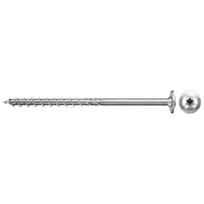 Fischer medsraigtis padidinta galva FPF II WTP BC 6,0 x 60 100 vnt.