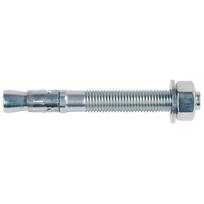 Fischer ankerinis varžtas FBN II 61-21312 10 x 126 mm 20 vnt.