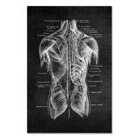 Žmogaus anatomija Meno kūriniai Medicininė siena Paveikslėlis Skeletas Organas Raumenų sistema Vintažinis plakatas Drobės spaudinys Kūno ugdymas Tapyba 50x70cm No Frame