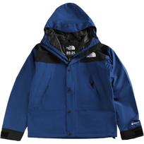 THE NORTH FACE GORE TEX® Mountain Jacket Men's NF0A831M-F1T L black