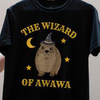 The Wizard of Awawa Hyrax Shirt, Funny Wizard Animal Graphic Tee, Cute Rock Hyrax Gift L brown