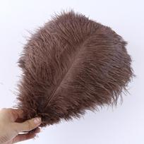 10 vnt. purių stručio plunksnų 15-40 cm rankdarbiams, vestuvių puošmenoms, dekoravimo reikmenims, gryna stručio plunksna, karnavalo palaikymas 20-25cm 8-10inch