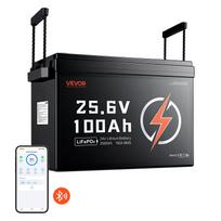 VEVOR 24V 100Ah LiFePO4 ličio baterija 4000+ ciklų 100A BMS su Bluetooth, 2560Wh ličio baterija su apsauga nuo žemos temperatūros
