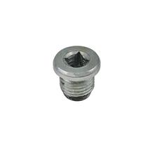 Oil Pan Plug for Renault Clio, R9, Megane and Dacia Duster