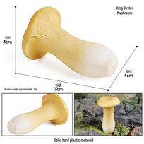 Science Simulation Model: Oyster & Shiitake Mushrooms and Vegetable Display Props for Educational Decor beige
