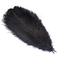 10 VNT Spalvingų Natūralių Stručio Plunksnų 20-50 CM 8-20 colių Rankdarbių Aksesuarams Vestuvių Stalo Puošybai Pluma 15-20cm 6-8inch black