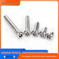 7380 Stainless Steel Anti-Theft Torx Pan Head Screw with Post M10*40 (1 piece)