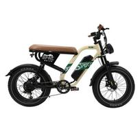 ONESPORT W66 Fat Bike Electric Bike with Bluetooth App & Hydraulic Brakes