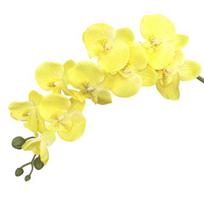 Dirbtinės orchidėjos Ilgu kotu Realistiškos Phalaenopsis orchidėjos Nereikalauja priežiūros Aksominiai žiedlapiai