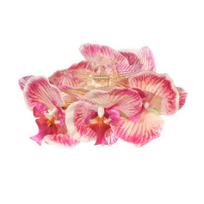 Plaukų segtukas Realistiškas orchidėjos dizainas Lengvas dekoratyvinis plaukų segtukas Saugus fiksavimas Plaukų griebtuvas pakaušiui Visos dienos nešiojimas Plaukų rožinė