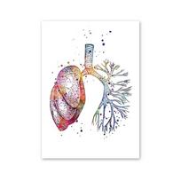 Anatomija Organai Širdis Kepenys Plaučiai Inkstai Smegenys Medicina Plakatas ir Spaudiniai Sienų menas Drobės Tapyba Paveikslai Kambariui Namų Dekorui 70x100cm No Framed