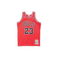 Mitchell & Ness NBA Authentic Jersey Chicago Bulls Road Finals 1995-96 Michael Jordan 'Red' Men's AJY4GS18075-CBUSCAR95MJO L gray