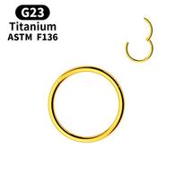 ASTM F136 titano lankelis su vyriuku nosies žiedai 20G 18G 16G Septumo Clicker žiedas Kūno pirsingas Papuošalai Helix Kremzlė Rook Auskaras 0.8x10mm yellow