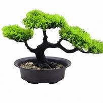 Hyack Mini Bonsai Pine Dried Never Fake Artificial Easy Care Tree, Bonsai, Tabletop, Withering, Greenery, Plant, (Green) žalia