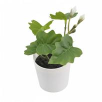 Green Artificial Grass Bonsai Greenery Photo Props Desktop Ornament White Flowerpot Waterproof Simulation Plant Potted Balcony gray
