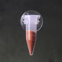 Brine Shrimp Egg Fry Starter Feeding Tube - Anti-Scatter Feeder Shell-Free Brine Shrimp Feeder gray
