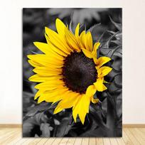 Tapybos Sienos Menas Senoviniai Paveikslai Svetainei Virtuvei Modernus Namų Dekoras Saulėgrąžos Plakatas Ir Spaudinys Ant Drobės Be Rėmo 40*60cm yellow