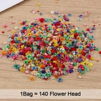 1Bag Dried Flowers For Epoxy Resin DIY Nail Art Craft Candle Soap Making Material Pressed Flower Wedding Party Home Decoration blue