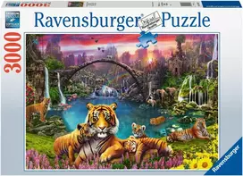 Ravensburger Dėlionė 3000 vnt. - Tigrai lagūnoje