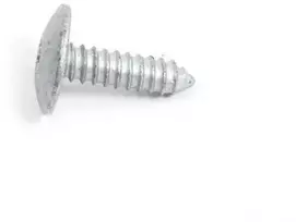 BMW E46 Torx varžtas Originalus 41358203482