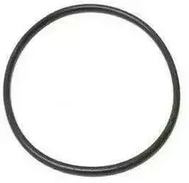 BMW F IR G SERIJOS Kuro bako siurblio tarpinė O-žiedas 16117188567 Originali