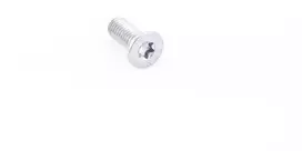 BMW MINI Torx įleistinis varžtas originalus 51217130110